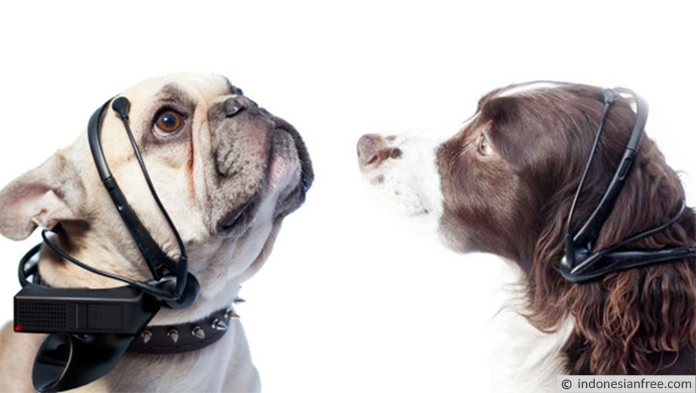 Penerjemah Bahasa Anjing ke Manusia
